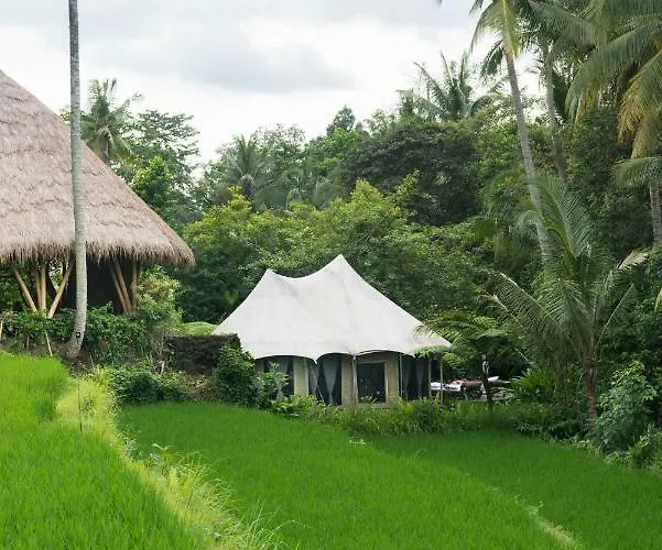 Sandat Glamping Tents 4*